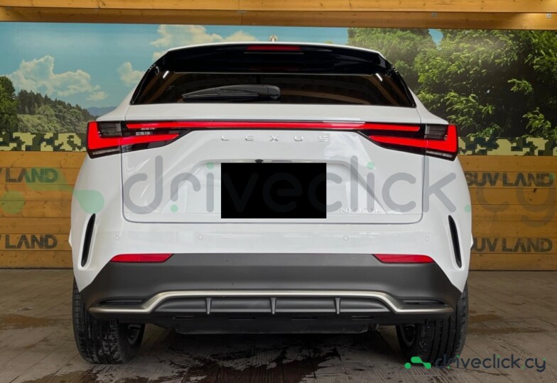 Lexus NX White