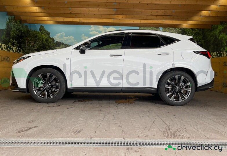 Lexus NX White