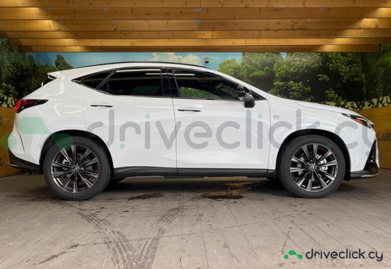 Lexus NX White