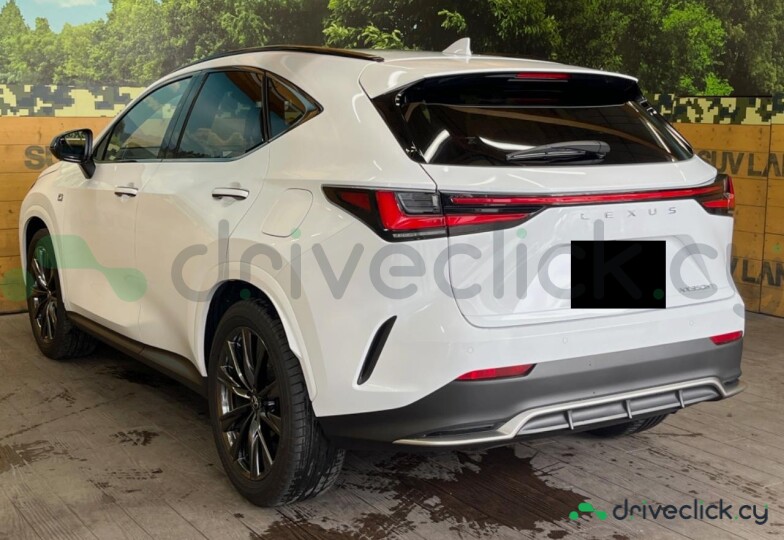 Lexus NX White