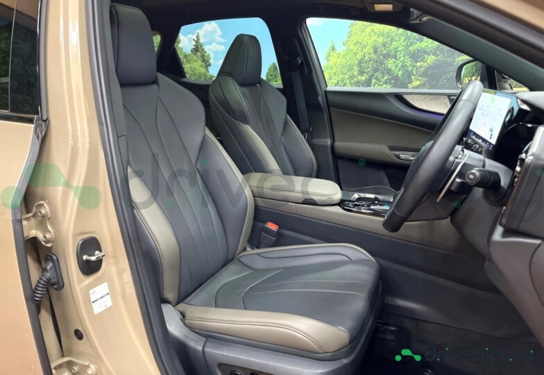 Lexus NX Beige