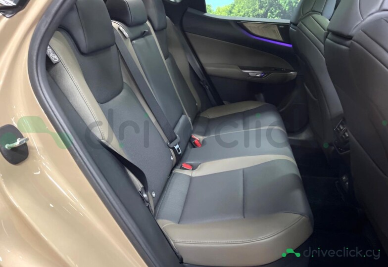 Lexus NX Beige