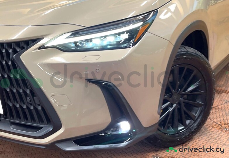 Lexus NX Beige