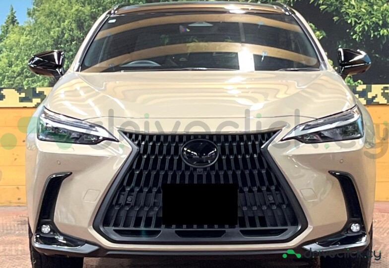 Lexus NX Beige