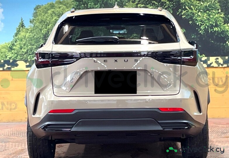 Lexus NX Beige