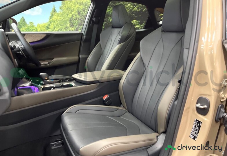 Lexus NX Beige