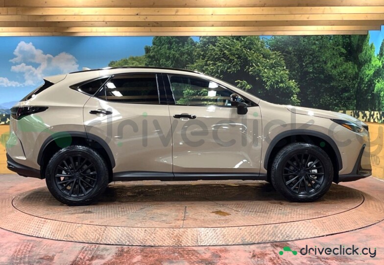 Lexus NX Beige