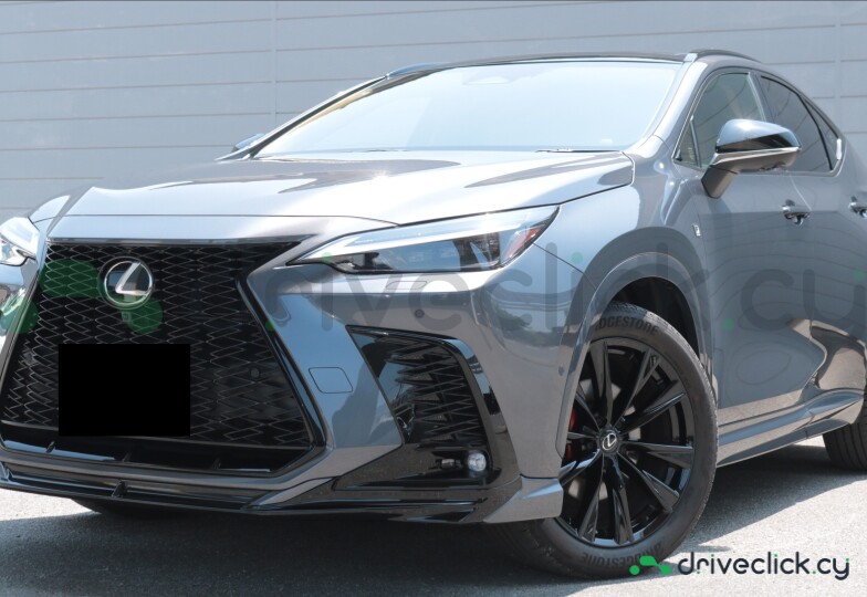 Lexus NX Grey