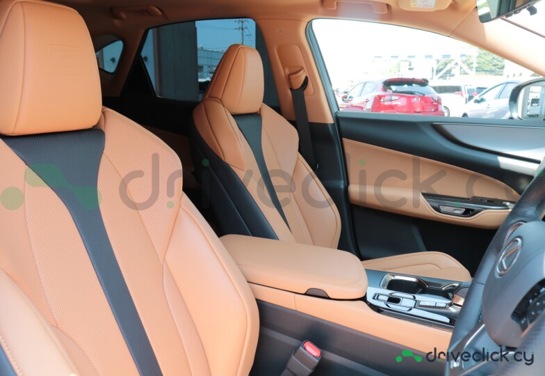 Lexus NX Grey