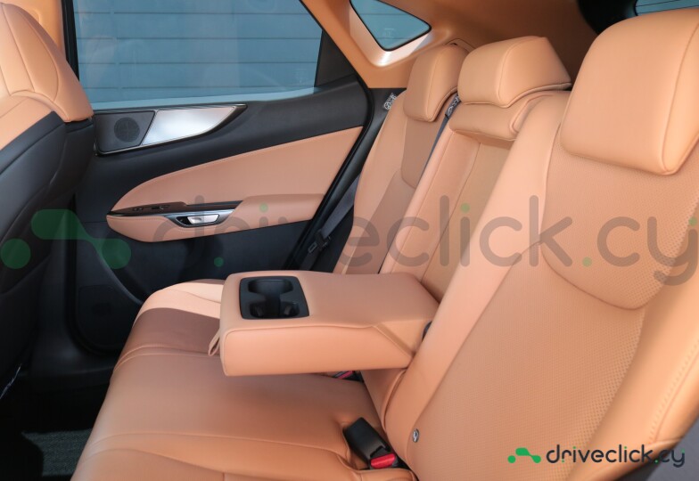 Lexus NX Grey