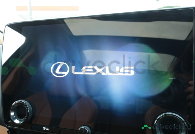 Lexus NX Grey