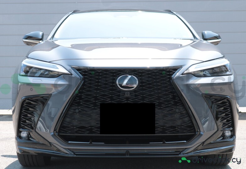 Lexus NX Grey