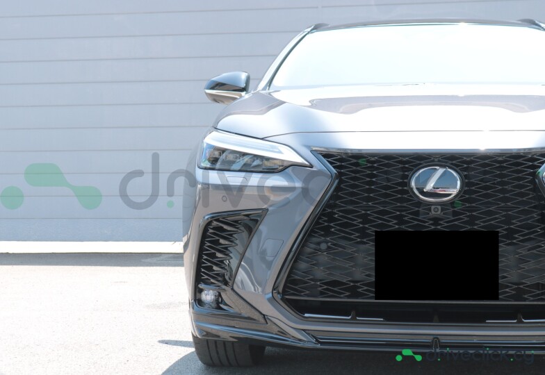 Lexus NX Grey
