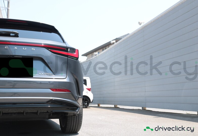 Lexus NX Grey