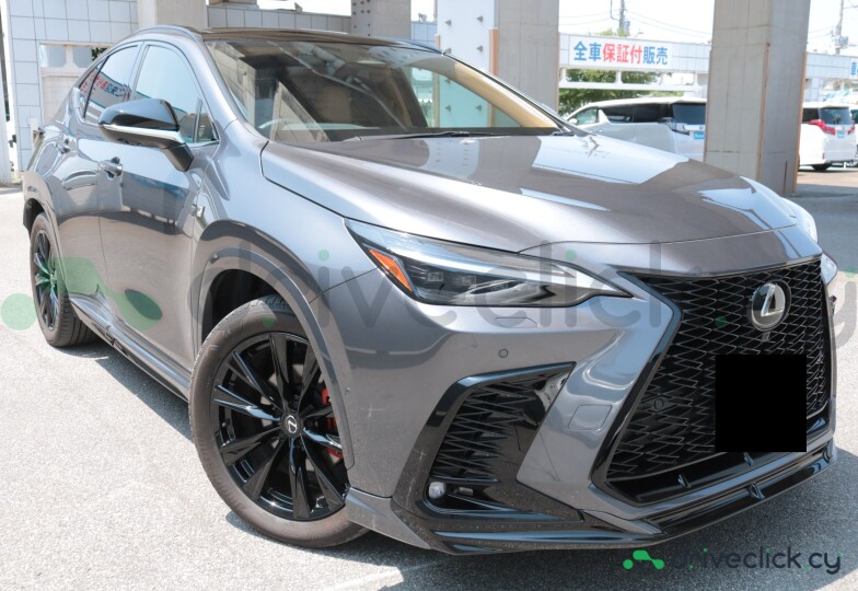 Lexus NX Grey
