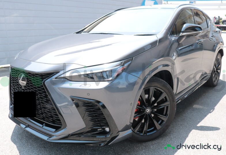 Lexus NX Grey