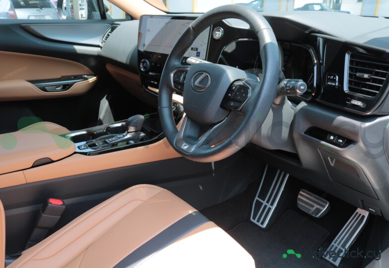 Lexus NX Grey