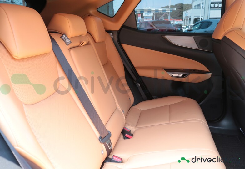 Lexus NX Grey