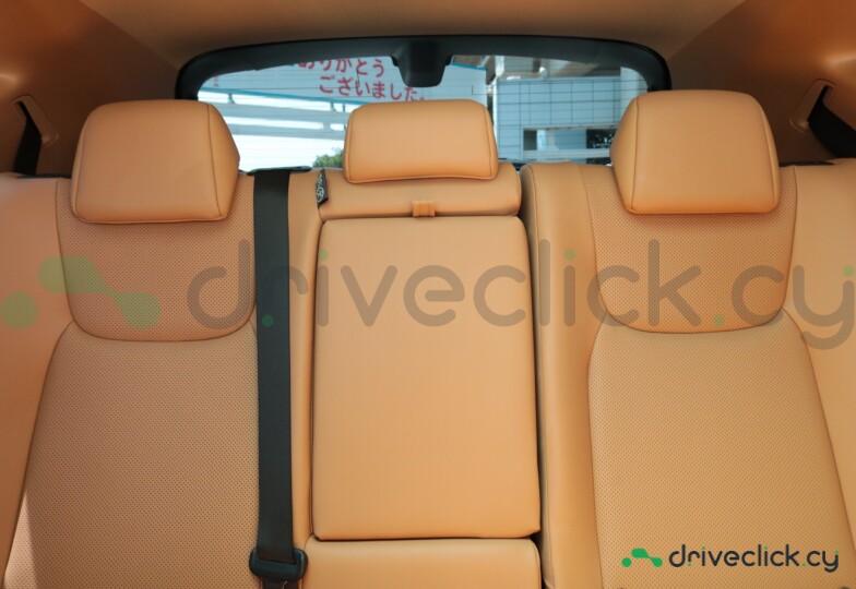 Lexus NX Grey
