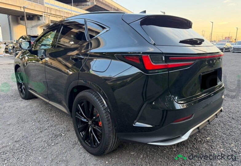 Lexus NX Black