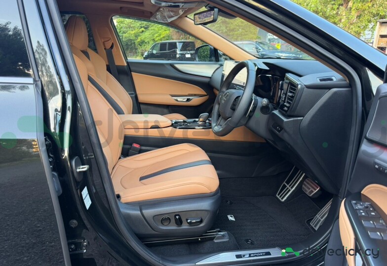 Lexus NX Black
