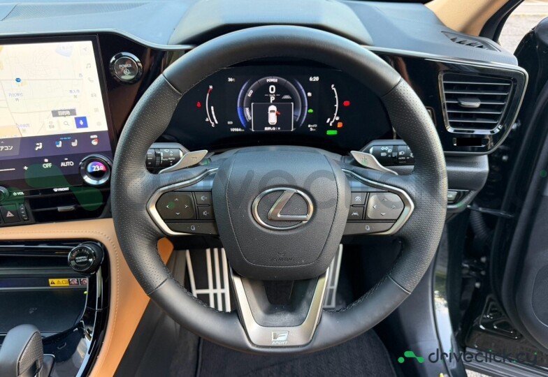 Lexus NX Black
