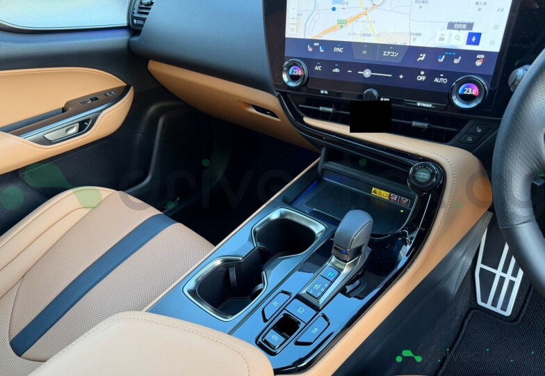 Lexus NX Black