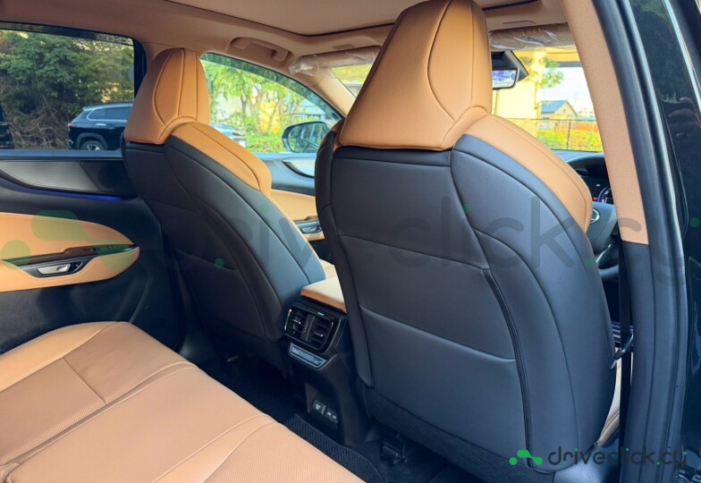 Lexus NX Black