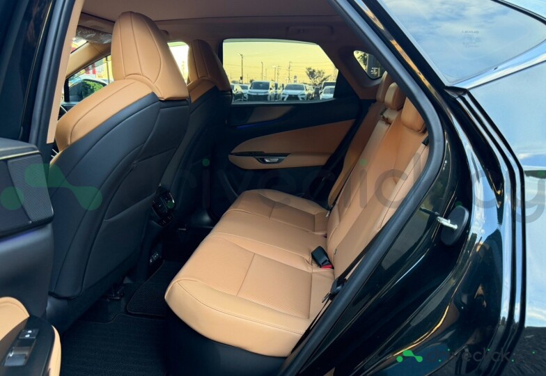 Lexus NX Black
