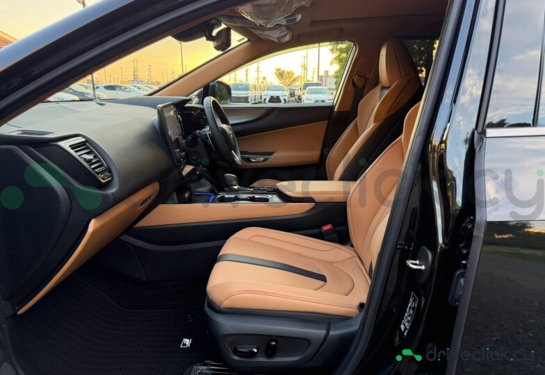 Lexus NX Black