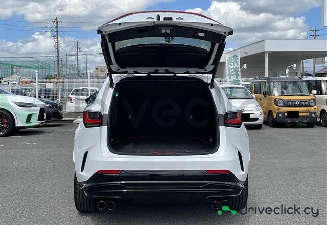 Lexus NX White