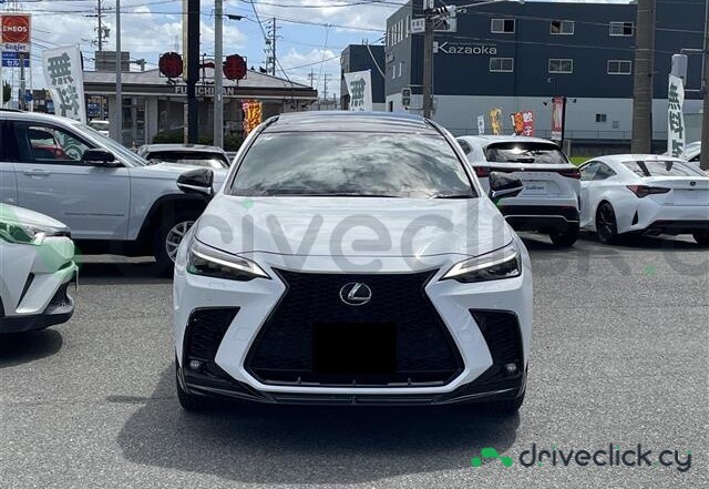 Lexus NX White