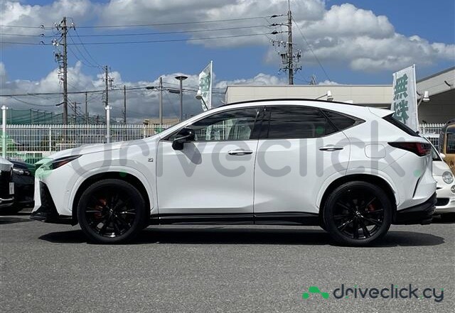 Lexus NX White