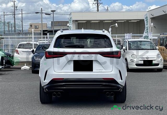 Lexus NX White