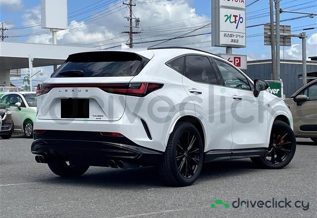 Lexus NX White