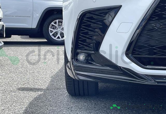 Lexus NX White