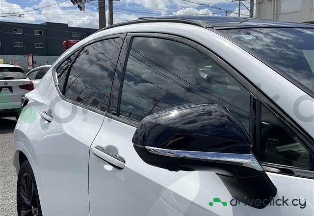 Lexus NX White