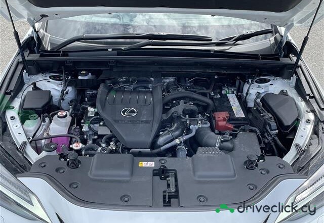 Lexus NX White
