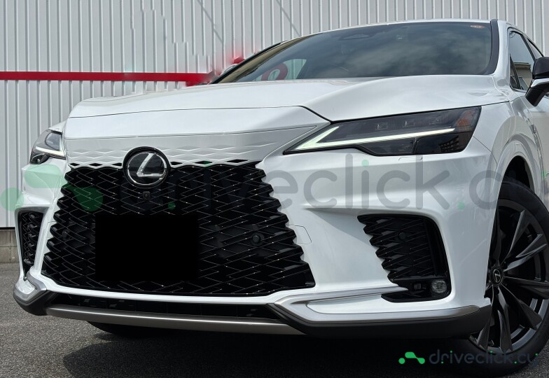 Lexus RX White