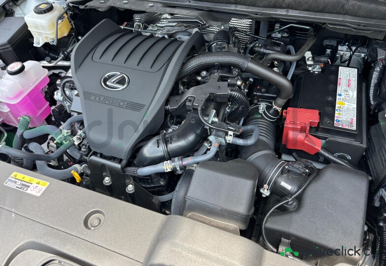 Lexus RX White