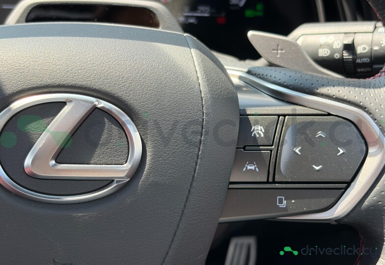 Lexus RX Black