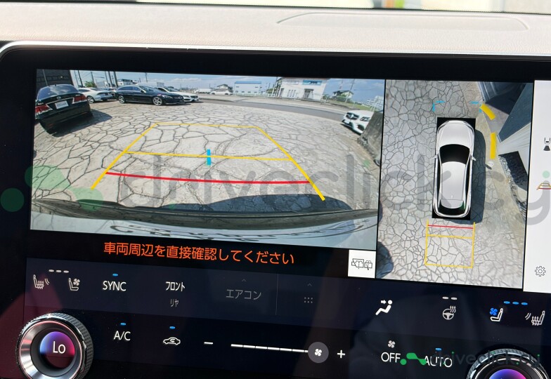 Lexus RX Black