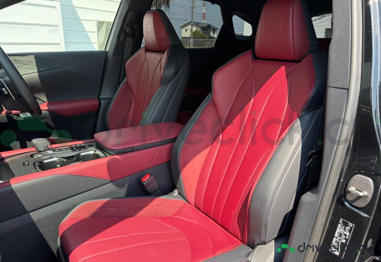 Lexus RX Black