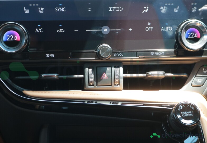 Lexus NX Grey