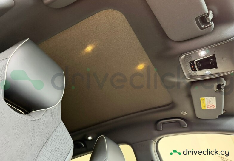 BYD Dolphin Grey
