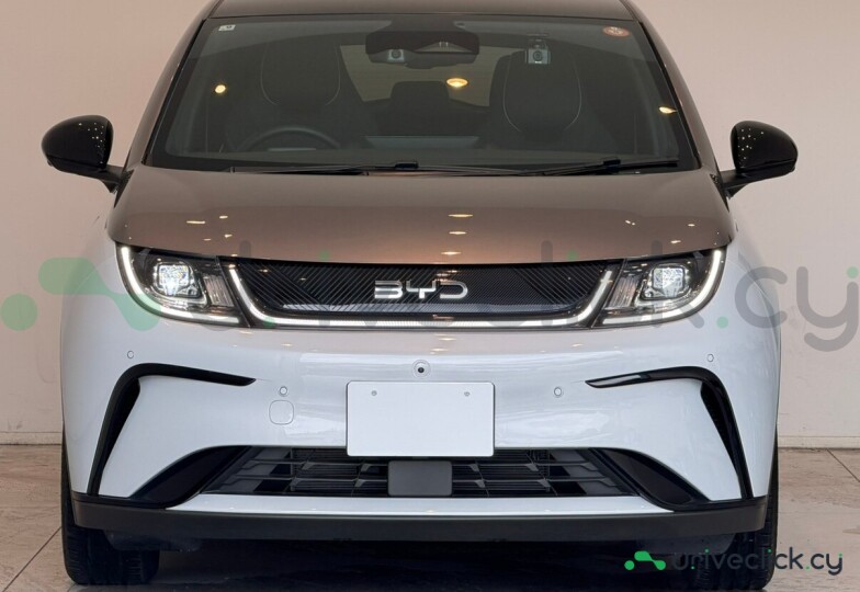 BYD Dolphin Grey
