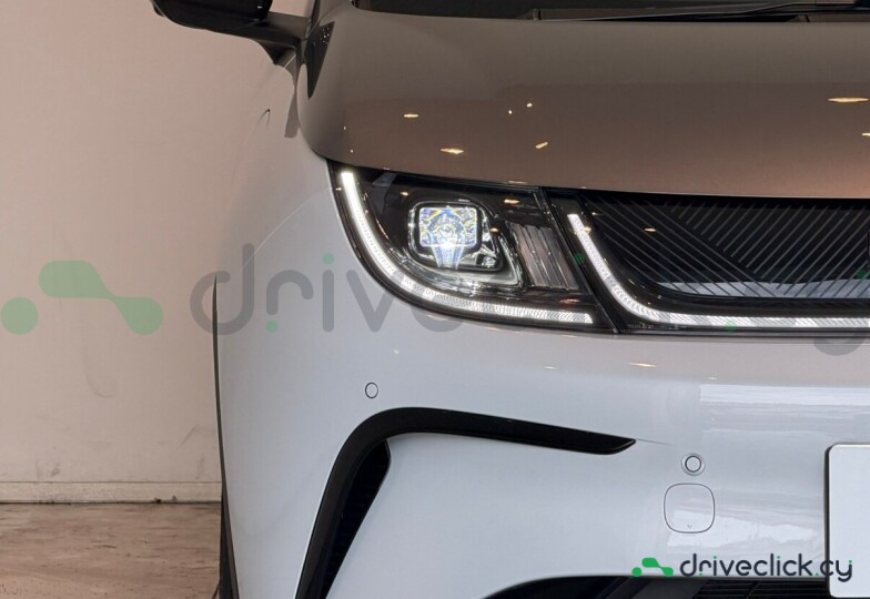 BYD Dolphin Grey