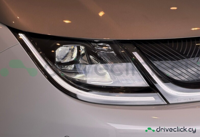 BYD Dolphin Grey