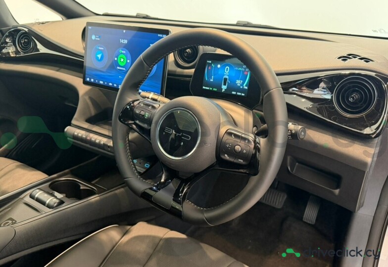 BYD Dolphin Grey