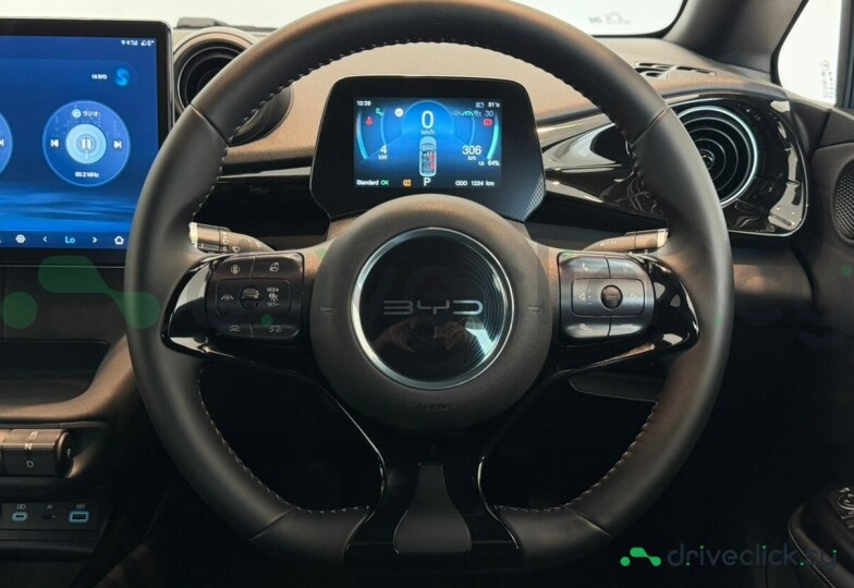 BYD Dolphin Grey